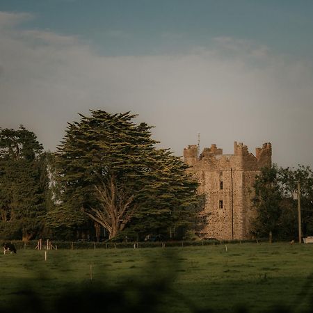 Killiane Castle Country House & Farm Drinagh Eksteriør billede