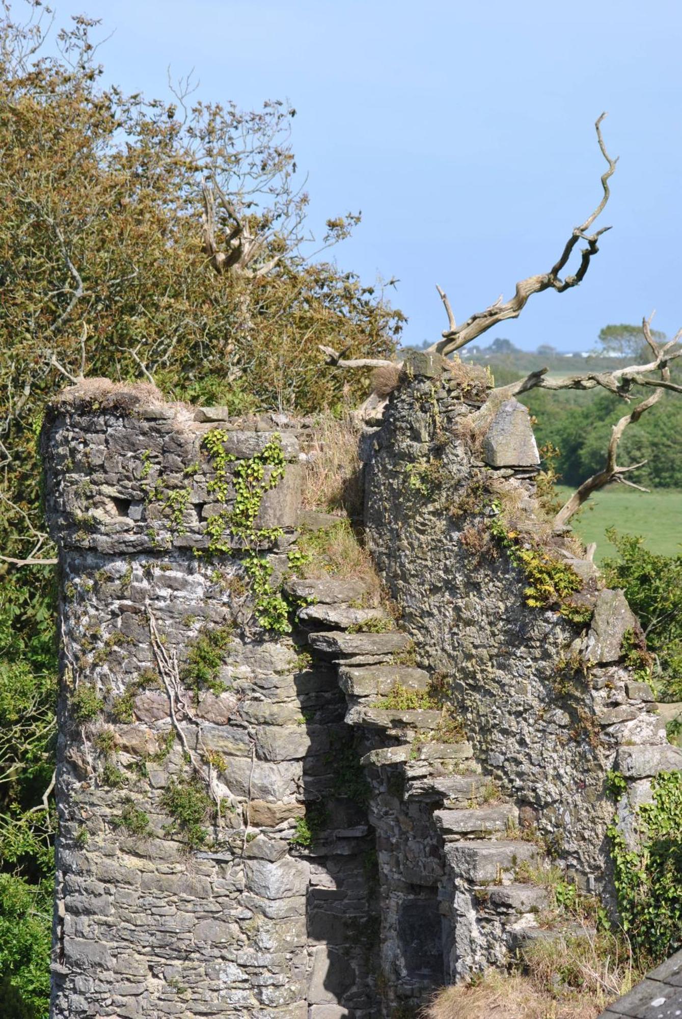 Killiane Castle Country House & Farm Drinagh Eksteriør billede