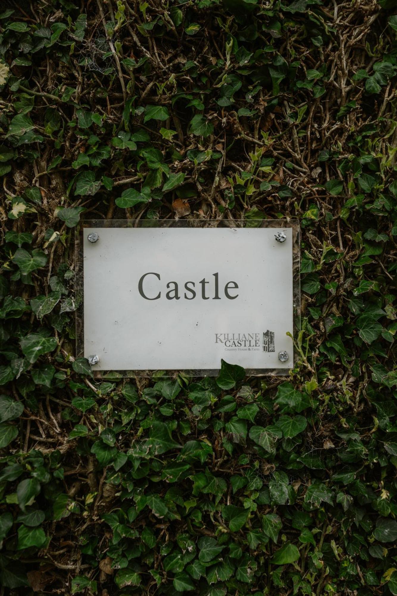 Killiane Castle Country House & Farm Drinagh Eksteriør billede
